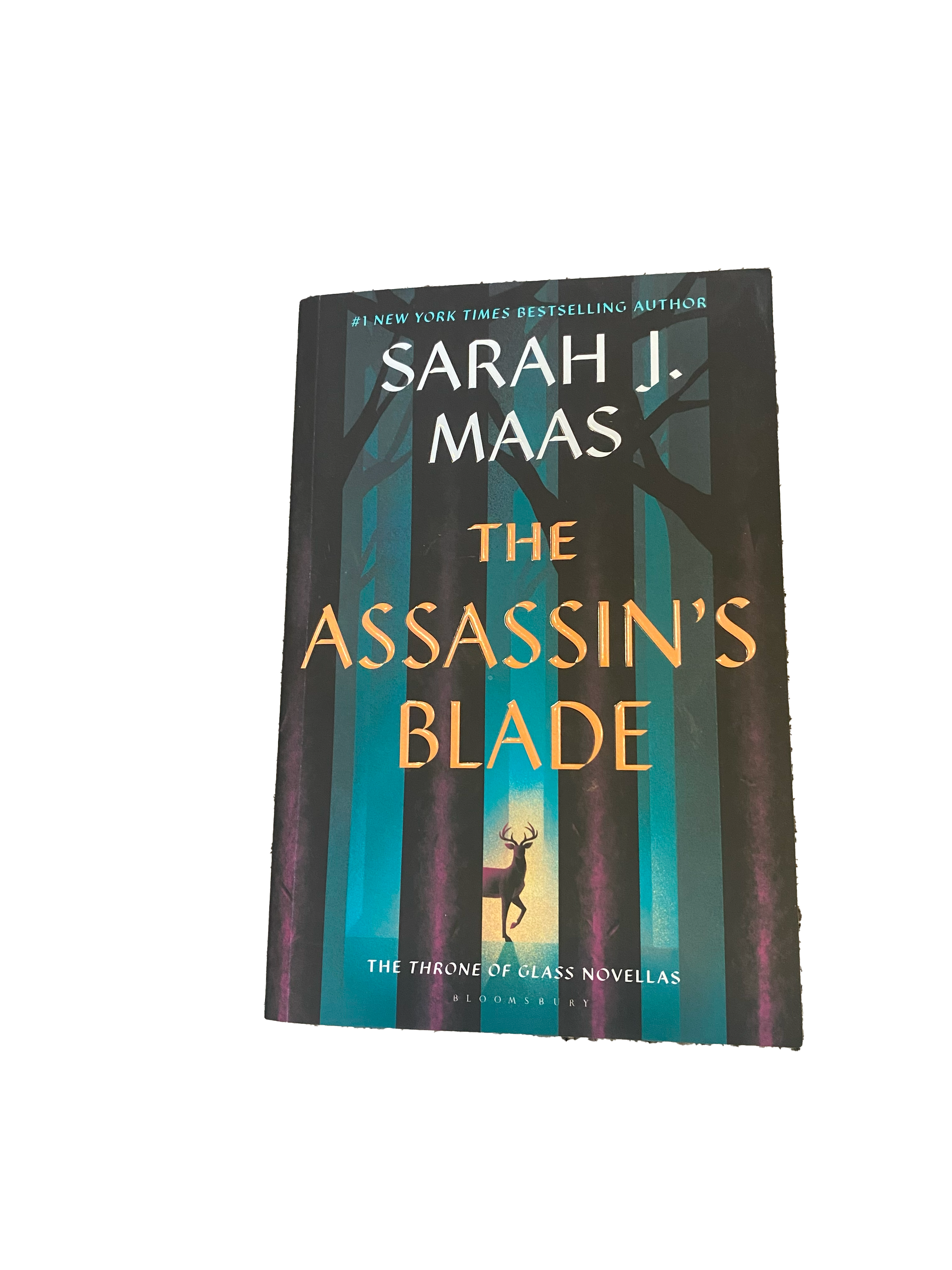 The Assassins Blade